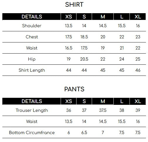 Size chart for Green Embroidered 2 Piece Suit | Izel | Dasht