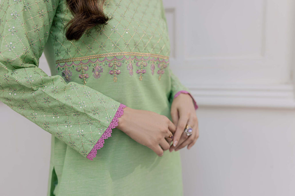 Green Embroidered 2 Piece Suit | Izel | Dasht