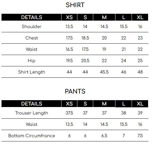 Size chart for Blue Embroidered 2 Piece Suit | Izel | Saahil