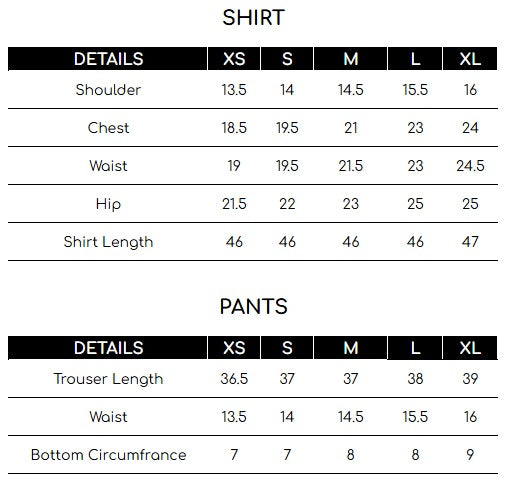 Size chart for Green Embroidered 2 Piece Suit | Izel | Shajar